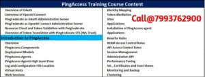 pingaccess training in hyderabad